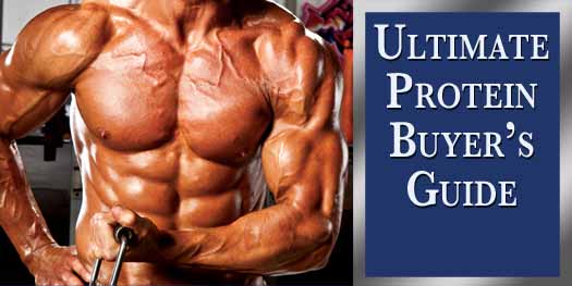 Ultimate Protein Buyer's Guide