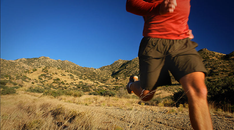 12 Can't-Miss Ab Workouts