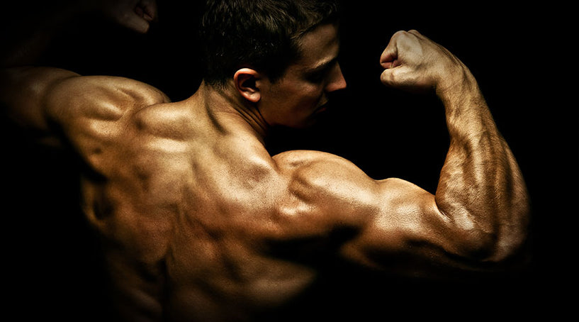 The Baghdad Classic Bodybuilding And Figure Championship
