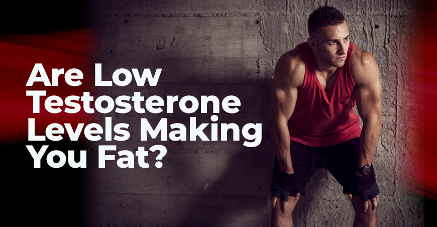 Are Low Testosterone Levels Making You Fat?