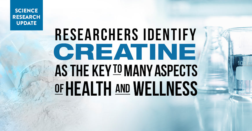 Research Update -- Researchers Identify Creatine as Key to Many Aspects of Health and Wellness