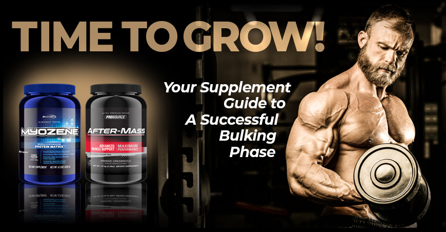 Time to Grow! Your Supplement Guide to a Successful Bulking Phase