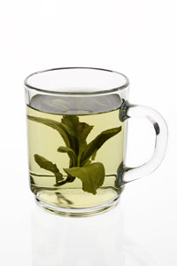 GREEN TEA AND CAFFEINE BOOST METABOLISM AND FAT BURNING